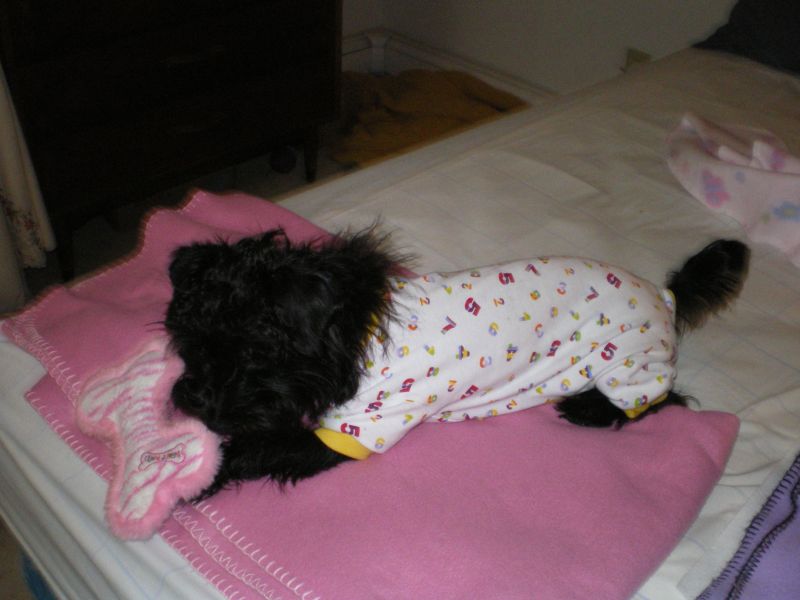 PJs_123