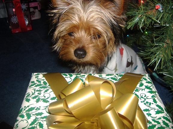 PRESENT