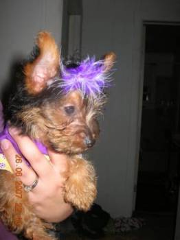 Pebbles2halfmo2