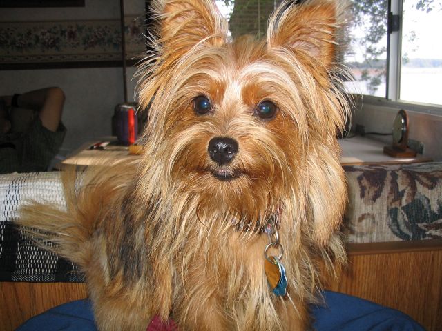 Penny_on_Vacation_05