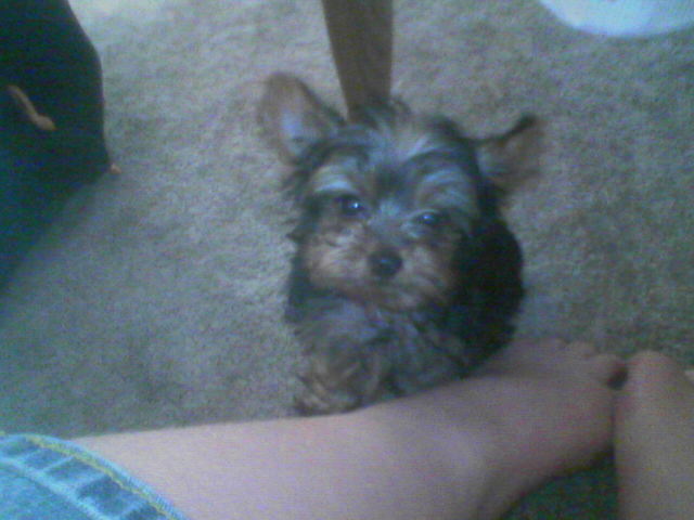 Picture060