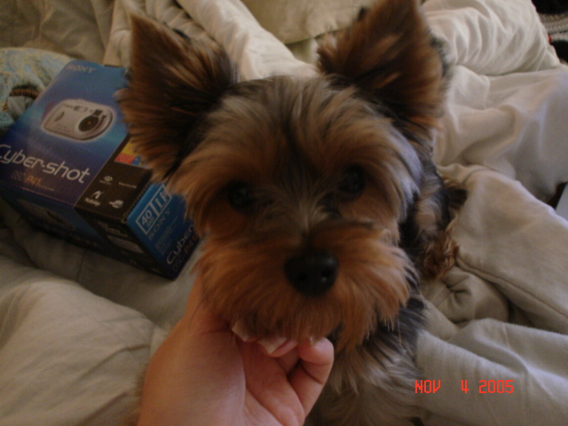 Picture_0012