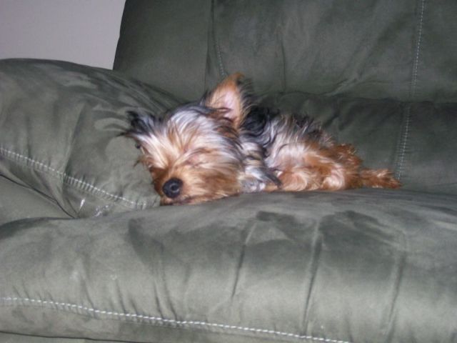 Picture_0044