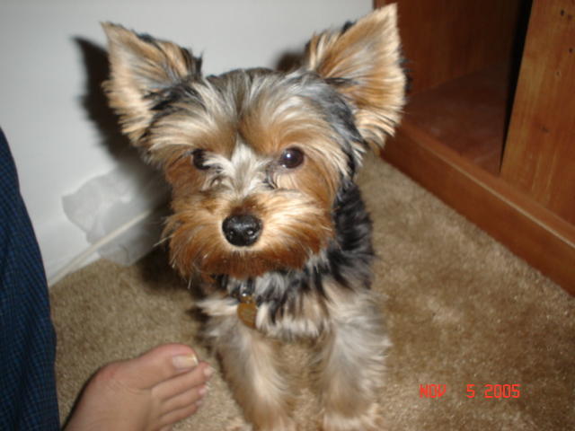 Picture_008