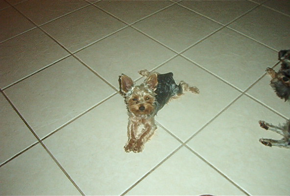 Picture_009