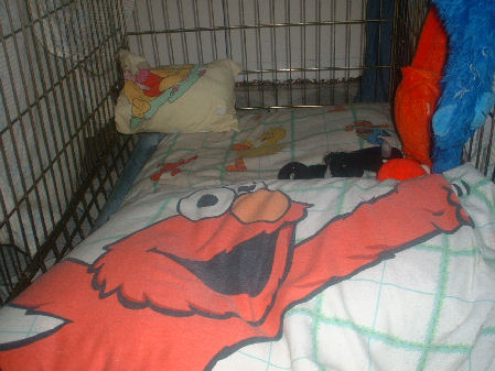 Picture_011