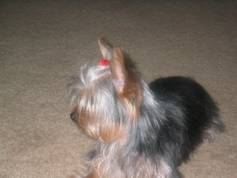 Picture_0154