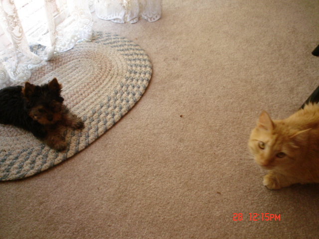 Picture_022