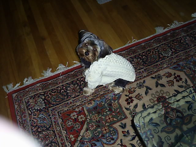 Picture_031