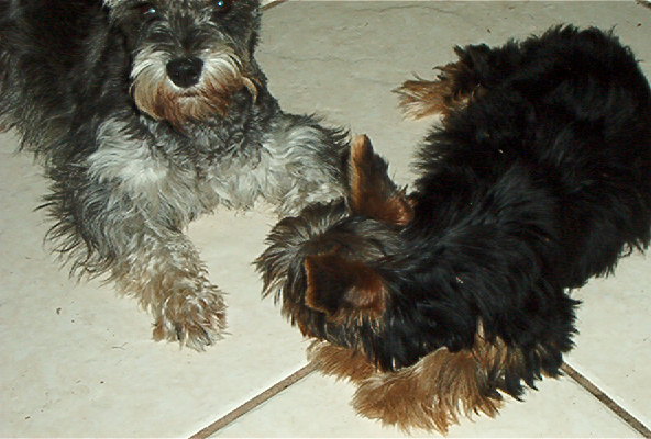 Picture_111