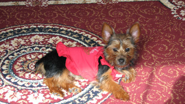 Picture_1212