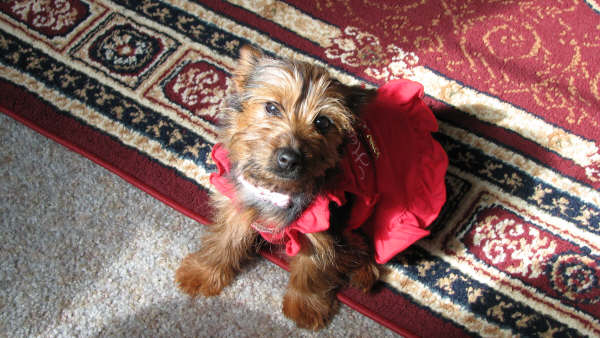 Picture_1222