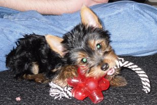 Picture_190