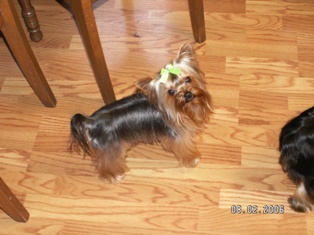 Picture_688