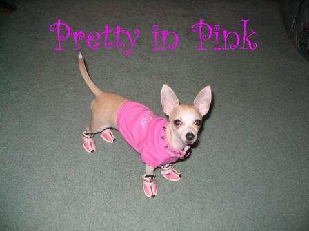 Pretty_in_Pink