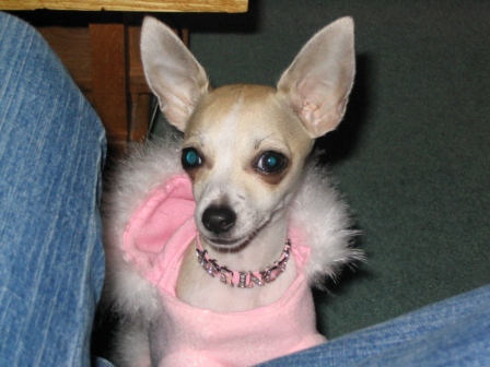 Princess_Nov_13