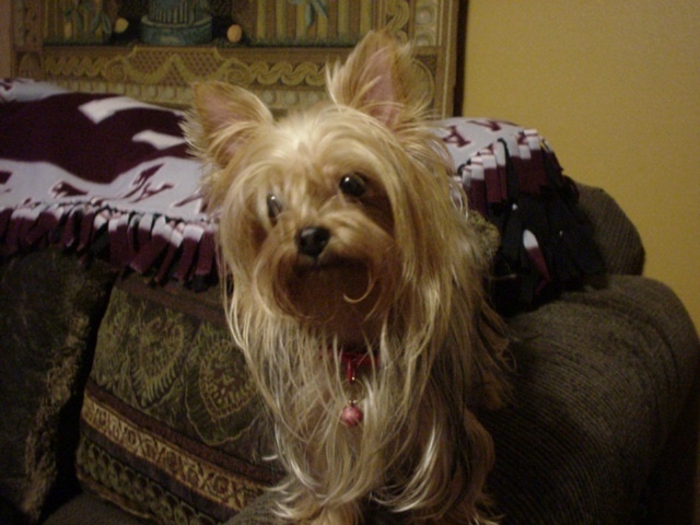 Prissie_05_18_2004
