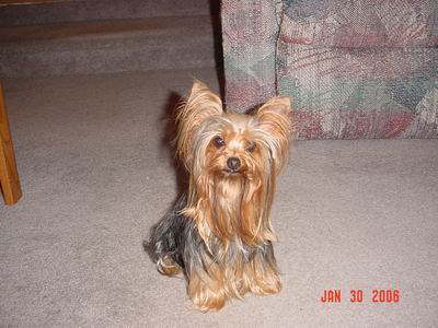 Resize_of_4yearsold