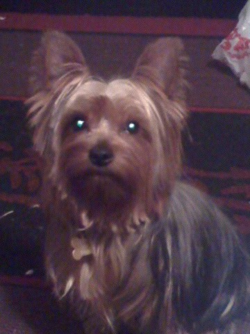 Romeo2