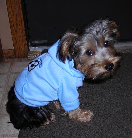SOCCERSTAR