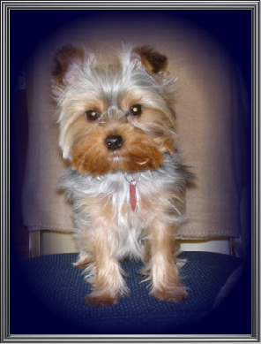 Sadie11910-1-1