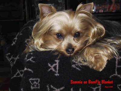 Sammie1