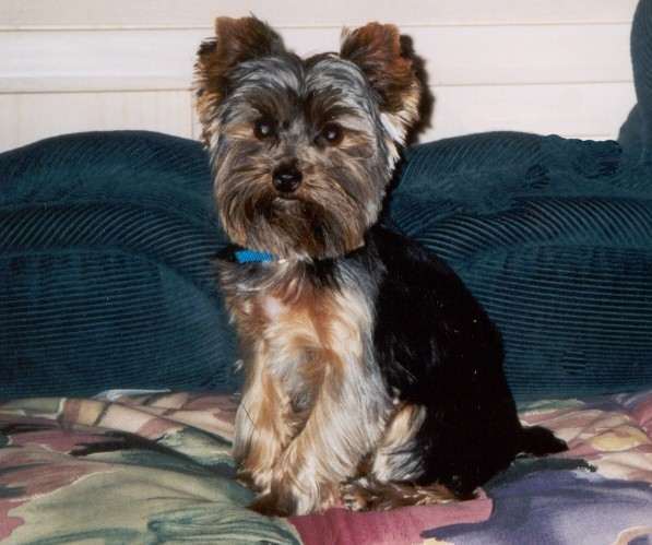 Sammy21