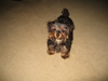Samson_s_Photos_-_02