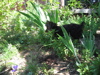 Samson_s_Photos_-_07