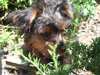 Samson_s_Photos_-_08