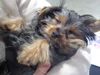 Samson_s_Photos_-_11
