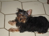 Samson_s_Photos_-_16