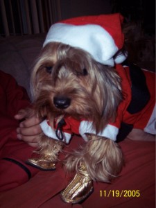 Santa2