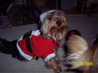 Santa9