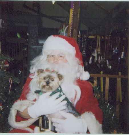 SantaWillow