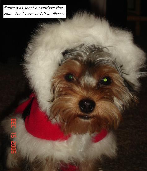 Santa_s_Helper