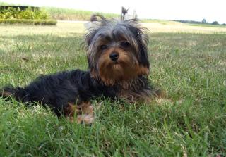 Sasha_09_05_09_0161