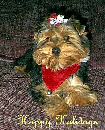 SkittlesGroomed2