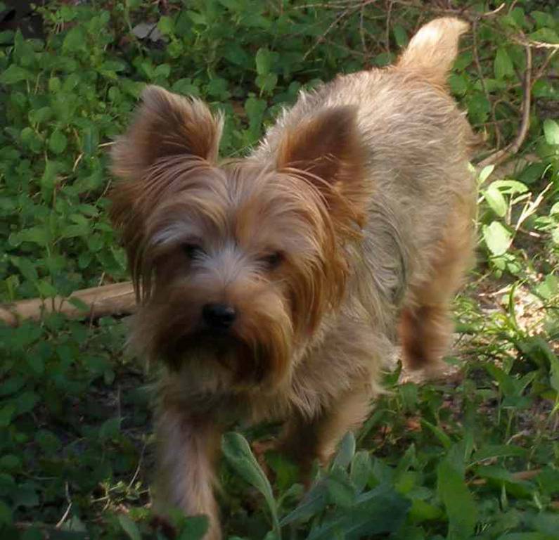 TEDDY5