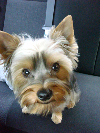 TOBY_POST_CUT