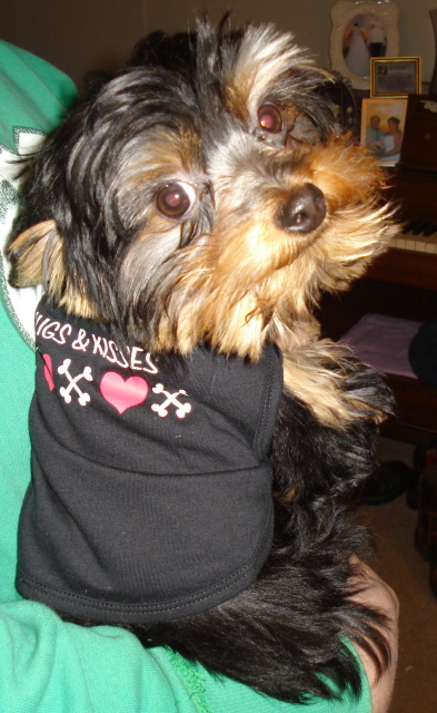 This_shirt_rocks_Bol_