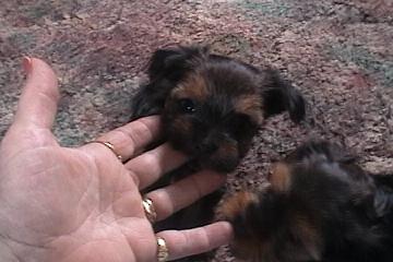 Tias_Babies_128
