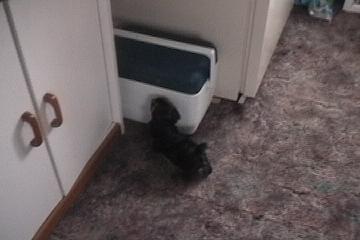 Tias_Babies_131