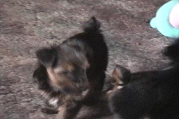 Tias_Babies_140