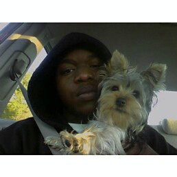 True_and_Tay