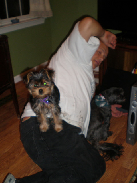 Tuffey_Martin_Daddy_s_little_helpers_Daddy_YT