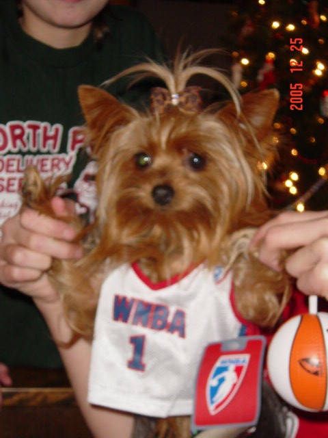 WNBA