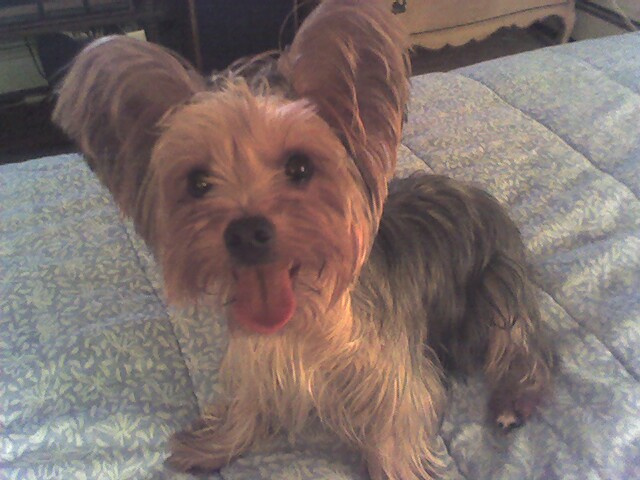Winston_1