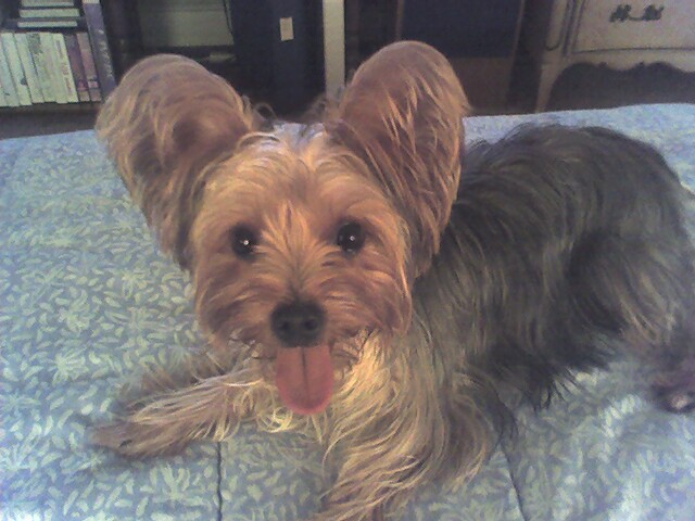 Winston_2