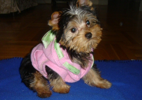 WithPinkSweater1